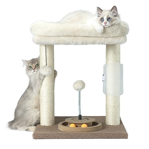 PAWSFANS Kratzbaum, kleiner Katzenturm mit Sitzstange, Kratzbaum für Indoor-Katzen und Kätzchen, Kratzbaum, Spielzeug zum Aufhängen, Beige von PAWSFANS