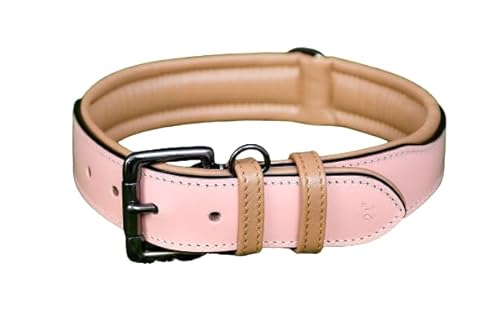 PAWSOFT Hundehalsband für kleine, mittelgroße und große Hunde – stilvolles, weich gepolstertes Hundehalsband aus Leder, klassisch, weich gepolstert, Größe M, passend für Halsumfang 35,6 cm, 38,1 cm, von PAWSOFT