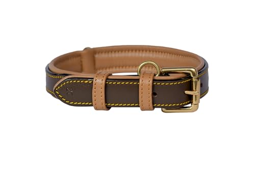 PAWSOFT Lederhundehalsband für kleine, mittelgroße und große Hunde, gepolstert, strapazierfähig, verstellbar, in Deutsch Taupe/Beige, Größe M von PAWSOFT