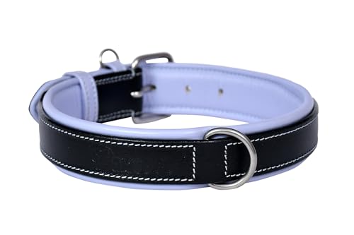 PAWSOFT Klassisches Luxus-Hundehalsband aus echtem Leder, weich gepolstert, für kleine, mittelgroße und große Hunde, Leder mit Anti-Rost-Hardware (Größe M, passend für Halsumfang 35,6 cm, 38,1 cm, von PAWSOFT