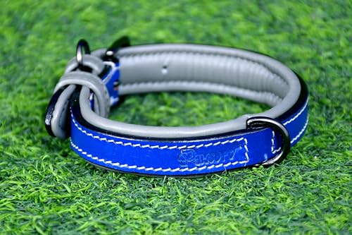 PAWSOFT Klassisches Luxus-Hundehalsband aus echtem Leder, weich gepolstert, für kleine, mittelgroße und große Hunde, Leder mit Anti-Rost-Hardware (Größe – S), passend für Halsumfang 30,5 cm, 33 cm und von PAWSOFT