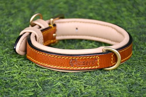 PAWSOFT Klassisches Luxus-Hundehalsband aus echtem Leder, weich gepolstert, für kleine, mittelgroße und große Hunde, Leder mit Anti-Rost-Hardware (Größe – S), passend für Halsumfang 30,5 cm, 33 cm und von PAWSOFT