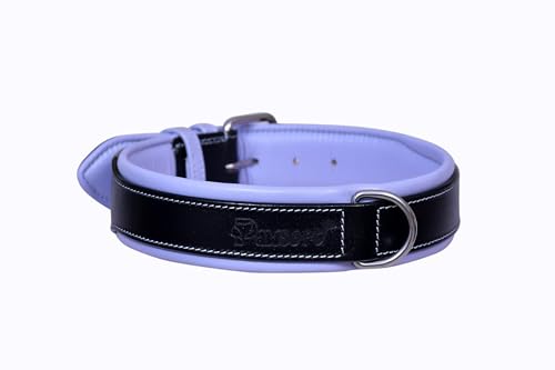 PAWSOFT Klassisches luxuriöses, gepolstertes Leder-Hundehalsband, echtes Leder, strapazierfähig, weiches Leder, verstellbares Haustierhalsband, Größe XL (passend für Halsumfang 53,3 cm, 55,9 cm, 58,9 von PAWSOFT