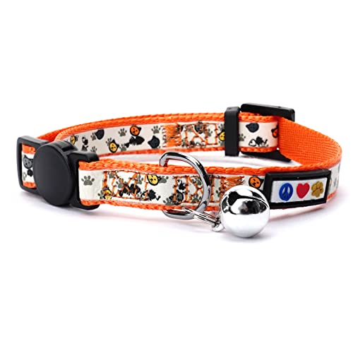 PAWTITAS Im Dunkeln Leuchtendes Katzenhalsband mit Sicherheitsschnalle und Abnehmbarer Glocke Katzenhalsband Kätzchenhalsband Orange Katzenhalsband von PAWTITAS