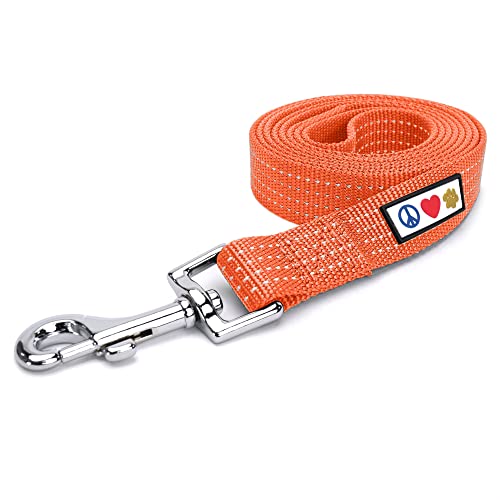 Pawtitas Hundeleine 1.8 M Leine Reflektierende Leine Hund Welpenleine bequemer Griff Hundeleine Hundetraining Leine für Hunde Extra kleine Hundeleine/kleine Hundeleine Orange Hundeleine von PAWTITAS