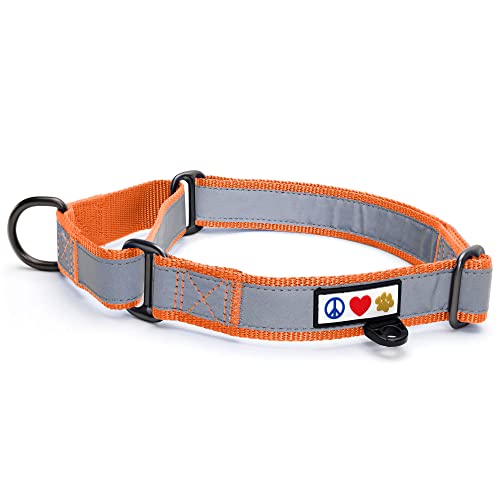 Pawtitas Martingale Hundehalsband Welpenhalsband Reflektierendes Hundehalsband Trainingshalsband für Hunde Erziehungshalsband für Hunde Klein Hundehalsband Orange Hundehalsband von PAWTITAS