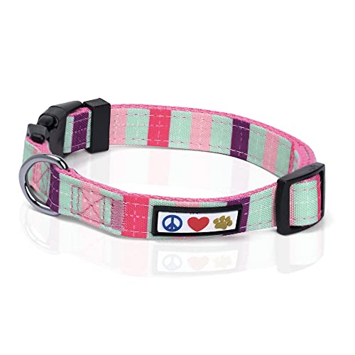 Pawtitas mehrfarbiges Hunde-Halsband Welpen-Halsband Haustier-Halsband Trainings-Halsband Extra klein Hunde-Halsband Türkis / Rosa / Lila Hunde-Halsband von PAWTITAS