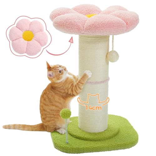 PAWZ Road Flower Katzenkratzbaum, Kleiner Katzenbaum, hoher Katzenkratzbaum für Indoor-Katzen mit super dickem Kratzbaum [Dia=14cm], Abnehmbares Blumen-Katzenbett, Katzenkratzbaum mit Federball, Rosa von PAWZ Road