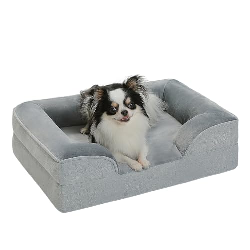 PAWZ Road Hundebett klein, waschbar, orthopädische Hundebetten mit abnehmbarem Flanell-Bezug mit Reißverschluss, Hundesofa für kleine Hunde, 2-lagiges, wasserdichtes Hundebett, Grau, 61 x 45 x 16 cm von PAWZ Road