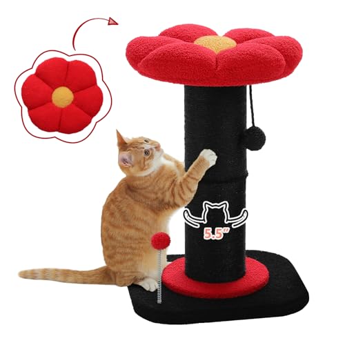 PAWZ Road Gothic Katzenkratzbaum, hoher Katzenkratzbaum für Indoor-Katzen mit super dickem Kratzbaum [Dia=14cm], Abnehmbares Flauschiges Katzenbett, Katzenkratzbaum mit Federball für Halloween, von PAWZ Road