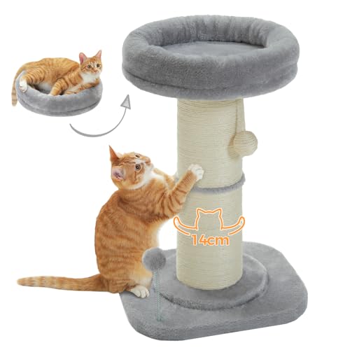 PAWZ Road Katzenkratzbaum, hoher Katzenkratzbaum für Indoor-Katzen mit super dickem Kratzbaum [Dia=14cm], Abnehmbares Flauschiges Katzenbett, Katzenkratzbaum mit Federball, Grau von PAWZ Road