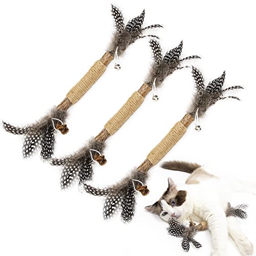 Katzenspielzeug Feder Katzenminze Spielzeug Katze Kauspielzeug Katze Kick Silber Rattan Stick Zahnreinigung Niedliches Kätzchen Beißende Innen Interaktive Katze Geburtstagsgeschenk 3 Pack von PAZ'S GIFT