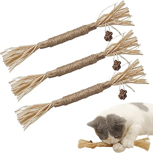 PAZ'S GIFT Katzenminze-Spielzeug, Katzenminze, Kauspielzeug, Katzenkauspielzeug, Katze, Kicking, Silvervine Stick Zahnreinigung, niedliches Kätzchen, Zahnreinigung, interaktiv, Zahnpflege, Matatabi von PAZ'S GIFT