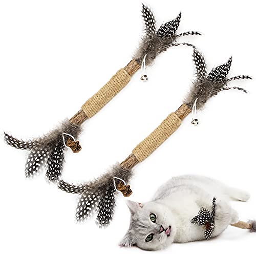 PAZ'S GIFT Katzenminze-Spielzeug, Katzenspielzeug, Silbervine Sticks Katzenspielzeug für drinnen und draußen, interaktives Silbervine für Katzen, Katzenminze-Spielzeug für den Innenbereich, Kauspielzeug für Katzen, Zahnreinigung, Kätzchen von PAZ'S GIFT