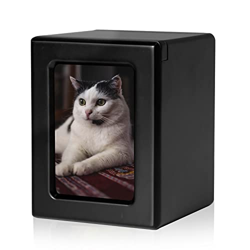 PCS Haustierurnen für Katzen, Katzen-Fotourne, Katzenurne für Asche, Urnen für Katzenasche, Haustier-Einäscherungsbox, Schwarz-Medium von PCS PET CREMATORY SUPPLIES