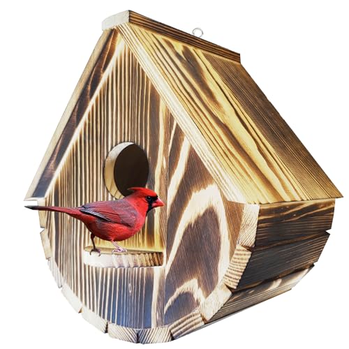 PDDYIER Vogelhaus für draußen, Vogelhäuser für den Außenbereich, natürliches Holz, Vogelhaus, Freiraum, Bluebird Finken, Kardinäle, hängendes Vogelhaus für Gartenbeobachtung von PDDYIER