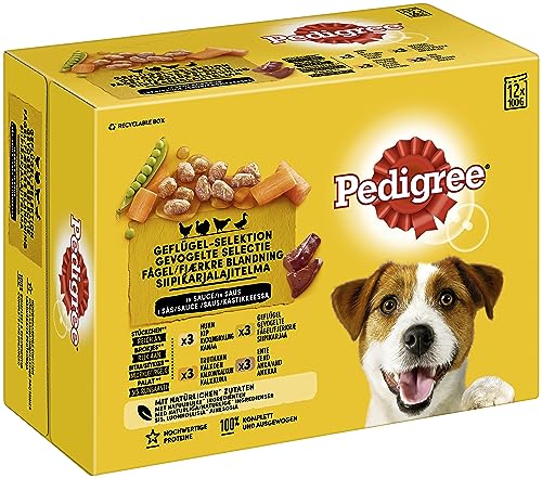 PEDIGREE® Portionsbeutel Multipack Adult Geflügel-Selektion in Sauce 4 Varietäten mit Huhn, Truthahn, Geflügel, Ente 1 x 12x100g von PEDIGREE