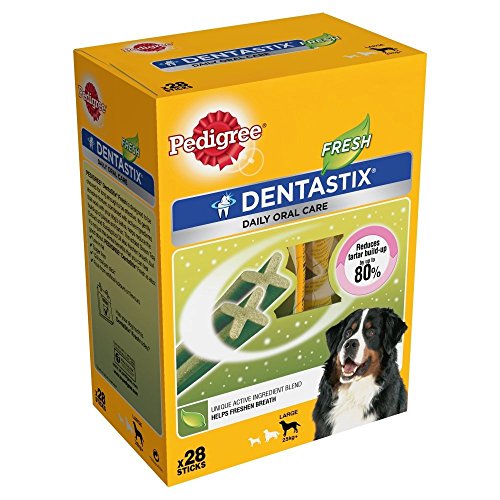 PEDIGREE 722406/1198 Hundesnacks Hundeleckerli Dentastix Daily Fresh Zahnpflege 1080 g, 4er Pack (4 x 28 Sticks x 1080 g) von PEDIGREE