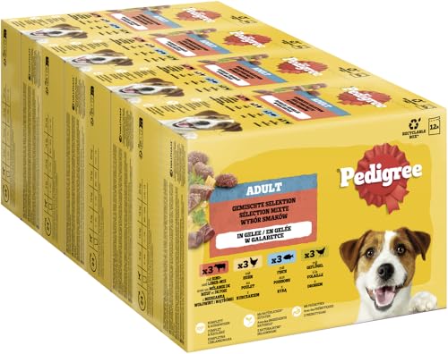 PEDIGREE DOGCARE Hundefutter Portionsbeutel Chunks in Gelee Adult 4 x 12 x 100g von PEDIGREE