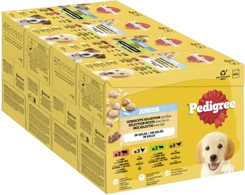 PEDIGREE DOGCARE Hundefutter Portionsbeutel Chunks in Gelee Junior 4 x 12 x 100g von PEDIGREE