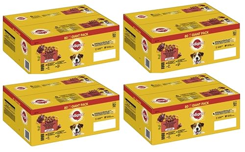 PEDIGREE Giant Pack Adult Gemischte Selektion in Gelee 4 Varietäten mit Rind- und Lebermischung, Huhn, Lamm- und Lebermischung, Geflügel (4x80x100g) von PEDIGREE