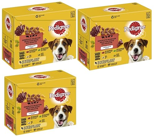 PEDIGREE Multipack - Verschiedene Geschmacksrichtungen (3x12x100g, Gemischte Selektion in Gelee 4 Varietäten mit Huhn, Rind- und Lebermischung, Geflügel, Lamm- und Lebermischung) von PEDIGREE