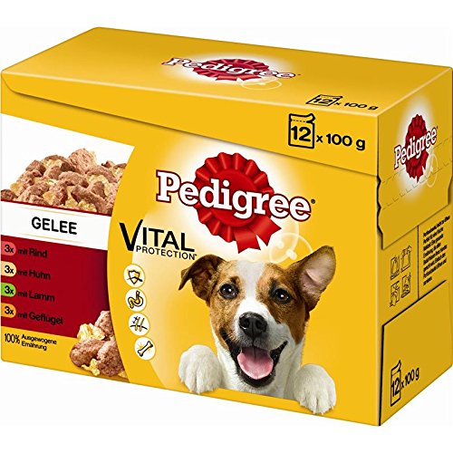 Pedigree Adult in Gelee im Multipack 4X 12x100g Hundefutter von PEDIGREE