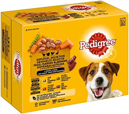 Pedigree Adult Hundenassfutter Geflügel-Selektion, 48 Pouches, 12x100g (4erPack) - Hundefutter nass, 4 Varietäten in Sauce mit Huhn, Truthahn, Geflügel und Ente von PEDIGREE