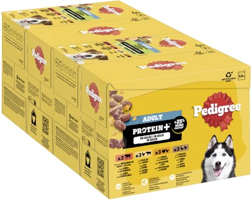 Pedigree Hund Portionsbeutel Protein Plus mit Stückchen in Gelee für ausgewachsene Hunde 4 x 12 x 85 g von PEDIGREE