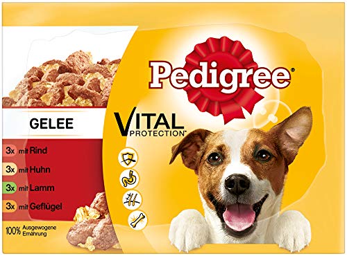 Pedigree Hundefutter Nassfutter Adult in Gelee, 12 Portionsbeutel (12 x 100g) von PEDIGREE