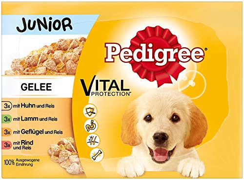 Pedigree Hundefutter Nassfutter Junior für Welpen Auswahl in Gelee, 12 Portionsbeutel (12 x 100g) von PEDIGREE