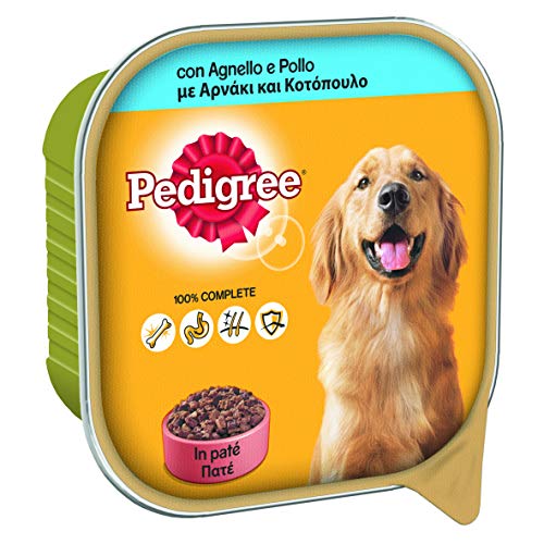 Pedigree Hundefutter mit Lamm und Huhn in Pastete, Behälter 300 g – 20 Schalen von PEDIGREE