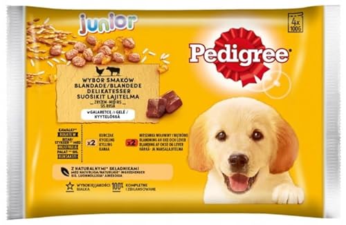 Pedigree Junior Choice of Flavours Nassfutter für Welpen Aller Rassen mit Rindfleisch und Reis in Gelee, Beutel 4x100g von PEDIGREE