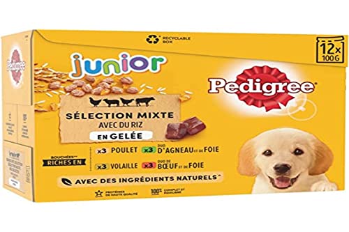 Pedigree Junior Selection Gelee Frischebeutel - Junior Hundefutter - 4 Verschiedene Geschmacksrichtungen - 48 Beutel à 100g von PEDIGREE
