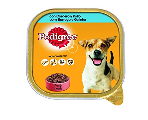 Pedigree Wet Food für Hunde, Lamm- und Hühnergeschmack, 300g von PEDIGREE