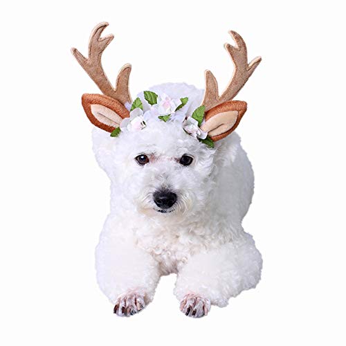 PEDOMUS Katze Kostüm Weihnachten Kopf Hoop Weihnachten Rentier Geweih Katze Hund Headwear mit Blumen für Katze und kleine Hund Größe S von PEDOMUS