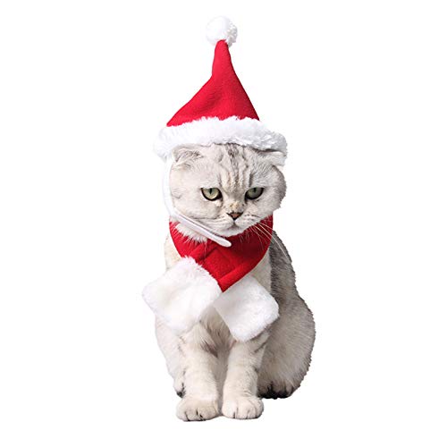 PEDOMUS Katzen Weihnachtsmütze und Schal Set Weihnachtskostüm Hut für Kleinen Hunde (rot-weiß) von PEDOMUS