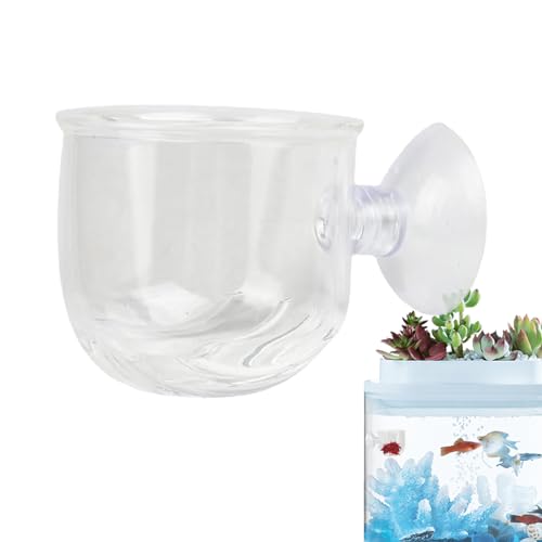 PEKMAR Aquarium Wurm Feeder - Fisch Fütterungsbecher mit Saugnapf - Glas Pflanzbecher für Aquarienpflanzen, Rote Garnelen Lebendpflanzen Fisch Tank Halter von PEKMAR