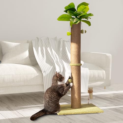 PELUOMOZ Kratzbaum für Indoor-Katzen, 91,4 cm hoch, mit natürlichem Sisalseil, 8,6 cm Durchmesser, Kratzbaum, interaktives Spielzeug (Blatt) von PELUOMOZ