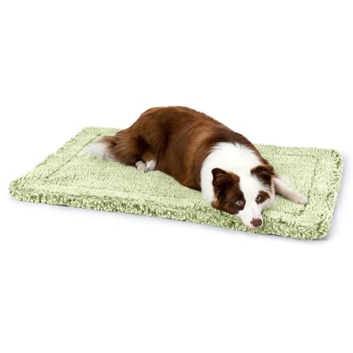 PELZIN Stoutwool unzerstörbares Hundebett, flauschig, kaufest, robuste Hundehüttenunterlage für aggressive Kauer, waschbar, ideal für große Rassen, passend für 91,4 cm große Käfige, 88,9 x 55,9 cm, von PELZIN