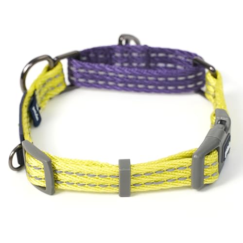 Pelzin Martingale Halsband für Hunde, reflektierend, kein Ziehen, mit Schnellschnalle, strapazierfähiges, dickes Schlupfhalsband für große Hunde, Lila/Limettengrün von PELZIN