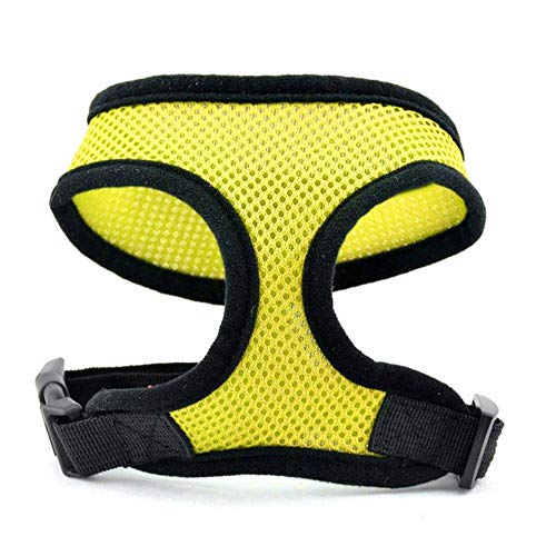 PENVEAT Fashion Pet Dog Safety Comfortable Harness Easy Control Mesh Vest Leash Chest Straps Belt,2,XS von PENVEAT