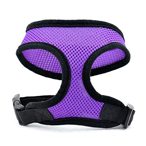 PENVEAT Fashion Pet Dog Safety Comfortable Harness Easy Control Mesh Vest Leash Chest Straps Belt,6,XL von PENVEAT