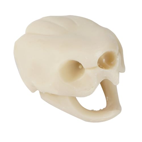 PEPLAYTAL 1stück Aquarium Dekoration Tortoise Skull Adornment Fisch Tank Dekoration Für Natürliche Unterwasserlandschaften PEPLAYTAL 1stück Aquarium Dekoration Tortoise Skull Adornment Fisch Tank Dekoration Für Natürliche Unterwasserlandschaften von PEPLAYTAL
