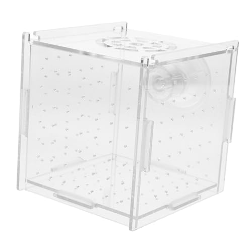 PEPLAYTAL Fischaufzuchtbox, Acryl-Fisch-isolationsbox, Fischtrenner Für Aquarium, Aquarium-inkubator Mit Saugnäpfen Für Babyfische, Garnelen, Aggressive Fische von PEPLAYTAL