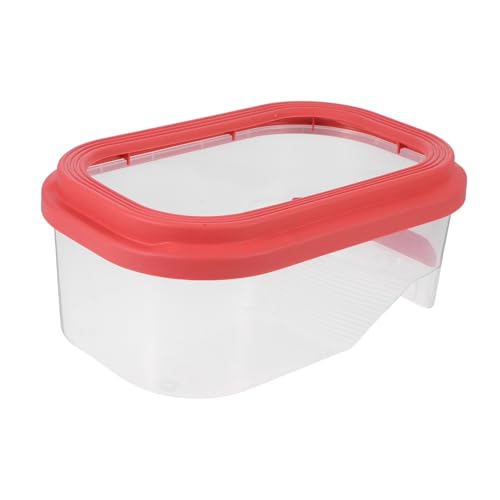 PEPLAYTAL Schildkrötenaquarium-Set, Wasserschildkrötenbecken Mit Sonnenplattform, Schildkröten-Starter-Set Für Kinder, Kleines Schildkrötenbecken Für Baby- Und Jungschildkröten PEPLAYTAL Schildkrötenaquarium-Set, Wasserschildkrötenbecken Mit Sonnenplattform, Schildkröten-Starter-Set Für Kinder, Kleines Schildkrötenbecken Für Baby- Und Jungschildkröten von PEPLAYTAL