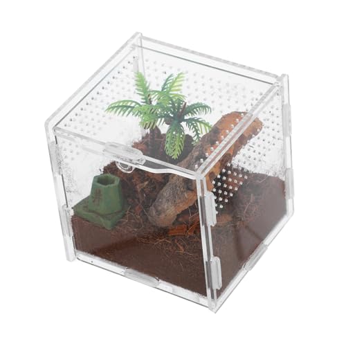 PEPLAYTAL Spinnenbox für Haustiere Umweltschutz Reptilien Terrarium Kleintierzubehör Transparentes Terrarium Gecko-Terrarium Mikrohabitat-Terrariumgehege Springender Spinnenlebensraum Acryl von PEPLAYTAL