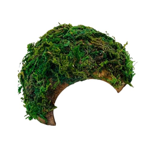 PEPLAYTAL Reptilienhaus für Hamster Schildkröten und Eidechsen Terrarium Versteck Krabbelplattform Lebensraum aus Natürlichem Harz für Aquarien und Terrarien PEPLAYTAL Reptilienhaus für Hamster Schildkröten und Eidechsen Terrarium Versteck Krabbelplattform Lebensraum aus Natürlichem Harz für Aquarien und Terrarien von PEPLAYTAL