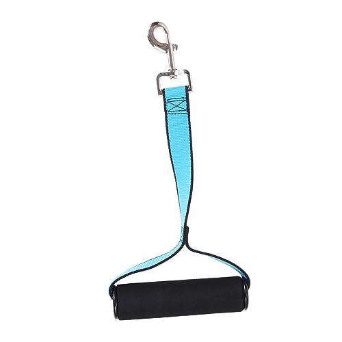 PEPLAYTAL Zubehör Elastische Terylen Hundeleine Himmelblau Kurze Leine Für Effektives Training Klein Für Welpen Und Kleine Und Rostfrei PEPLAYTAL Zubehör Elastische Terylen Hundeleine Himmelblau Kurze Leine Für Effektives Training Klein Für Welpen Und Kleine Und Rostfrei von PEPLAYTAL