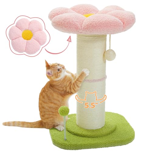 PEQULTI Flower Cat Kratzbaum, hoher Katzenkratzbaum für Indoor-Katzen mit super dickem Kratzbaum [Dia=5.5''], abnehmbares flauschiges Blumen-Katzenbett, Katzenkratzbaum mit grünem Federball, Rosa von PEQULTI